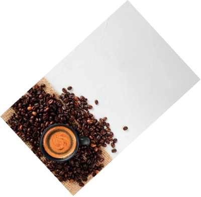 cat_img